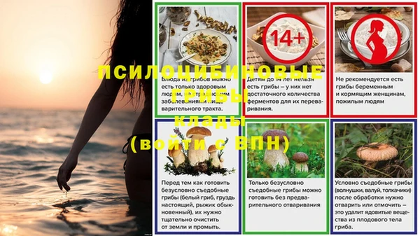 мдпв Богданович