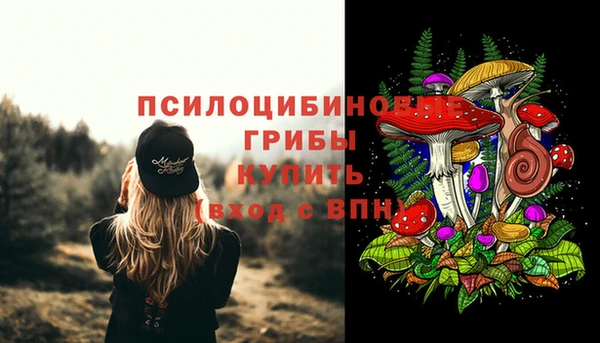 кристаллы Богородицк