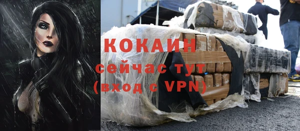 мдпв Богданович