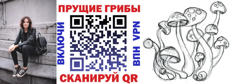 Галлюциногенные грибы Magic Shrooms  купить наркотики сайты  Жуковский 